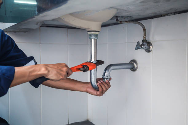 Best Plumbing Inspection Services  in Gibsonia, PA